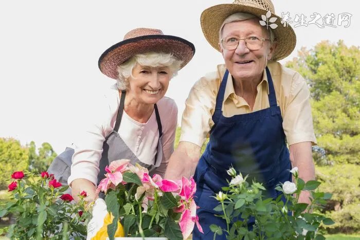 戴恩·德哈恩为什么叫戴涵涵，戴恩·德哈恩的老婆女儿