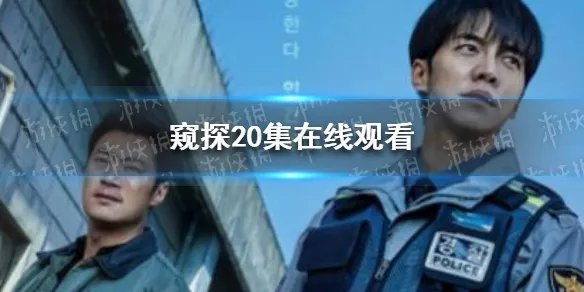 窥探大结局在线观看 窥探20集在线观看