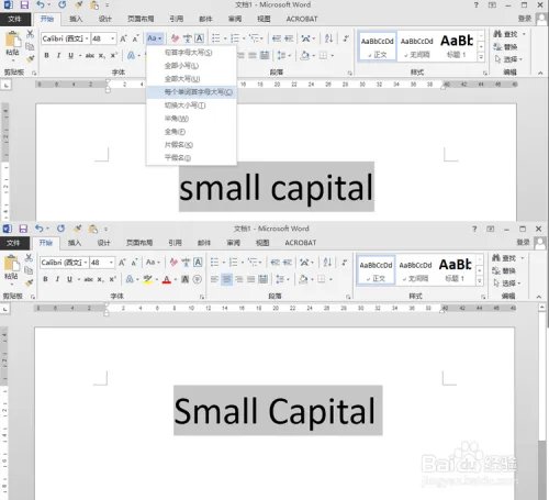 word设小型大写字母small capitals