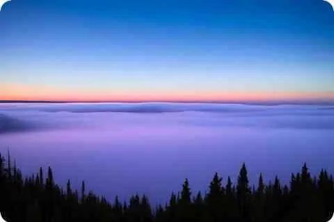 什么是 生物学原理?