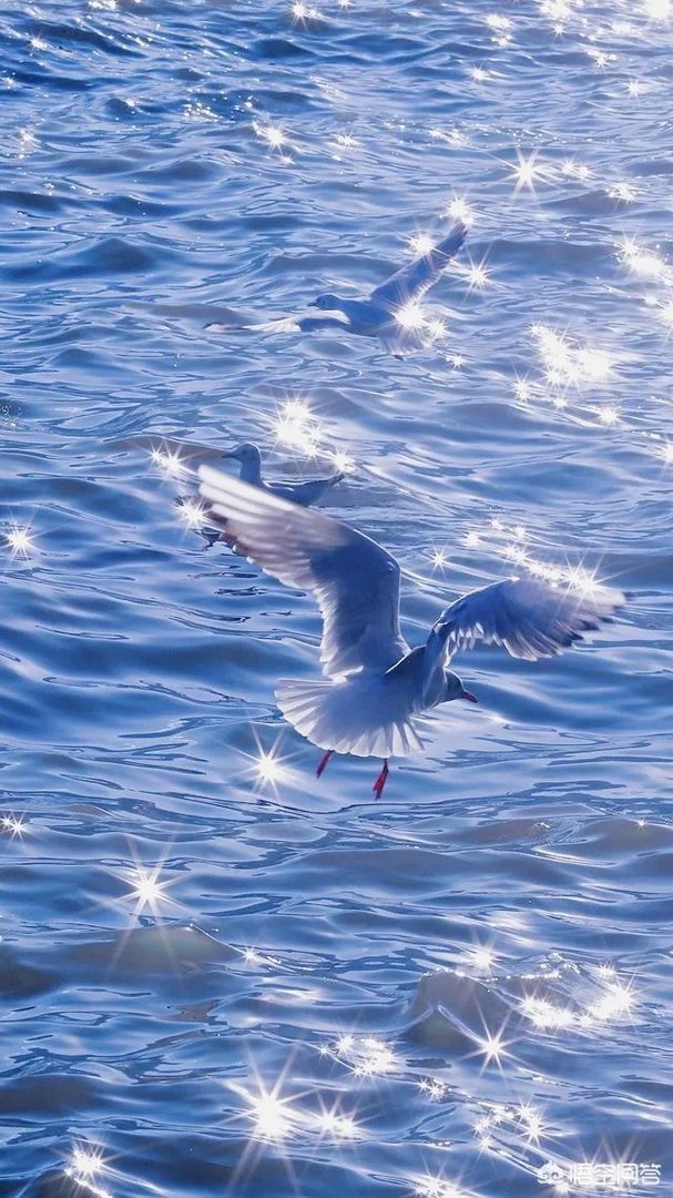 有什么好看的、景色秀丽的壁纸？