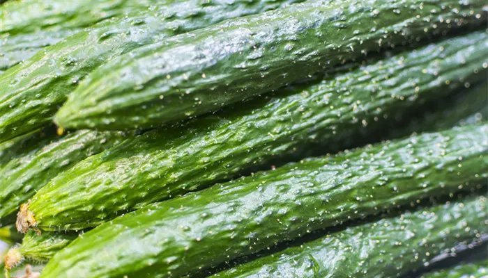 黄瓜为什么叫黄瓜 黄瓜叫黄瓜的原因