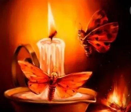 飞蛾扑火的含义