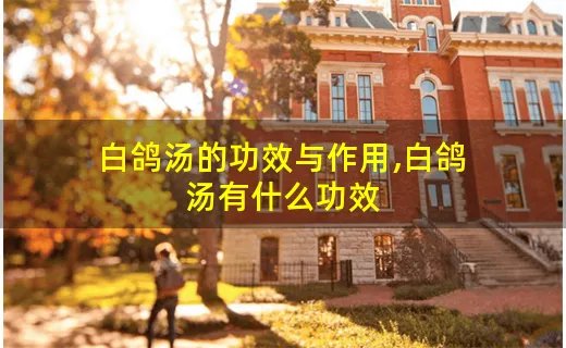 白鸽汤的功效与作用,白鸽汤有什么功效