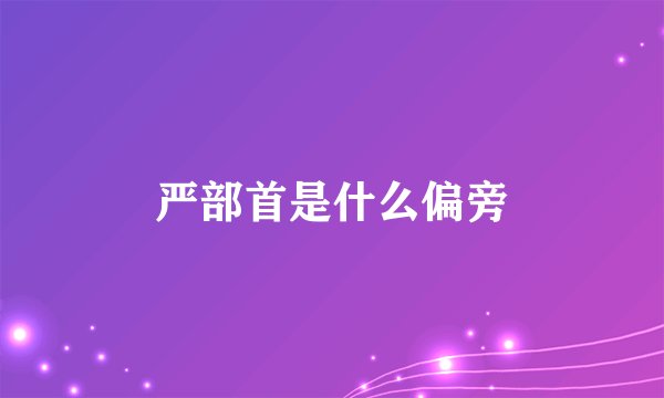 严部首是什么偏旁