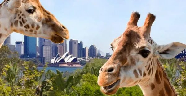 石家庄有什么好玩的地方啊？