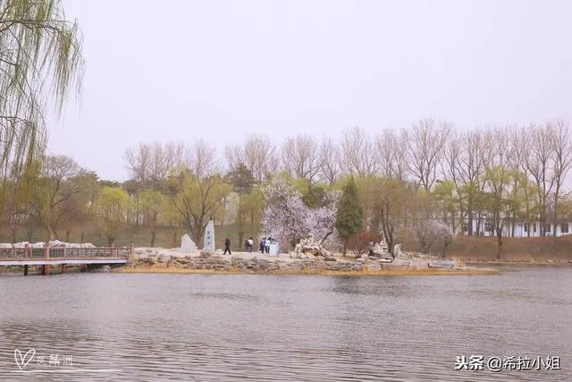 圆明园十大景点介绍？