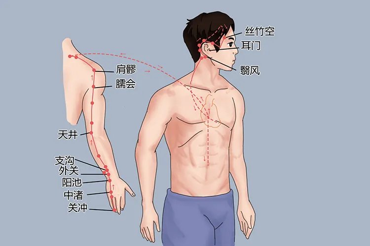 背部经络图片
