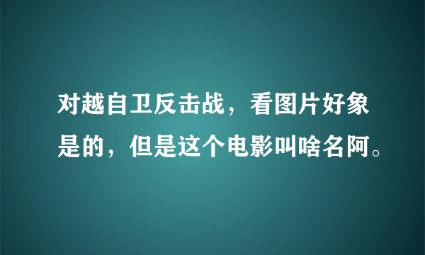 对越自卫反击战，看图片好象是的，但是这个电影叫啥名阿。