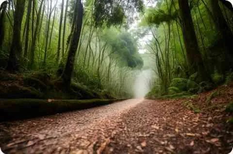 梦见吃菜是什么意思 – 周公解梦