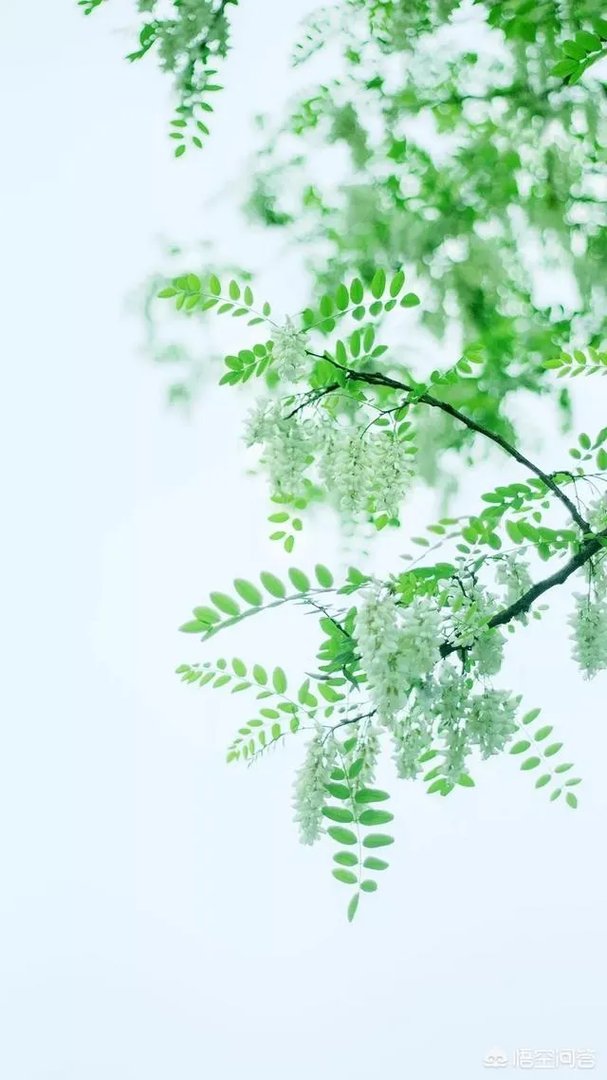 有什么好看的、景色秀丽的壁纸？