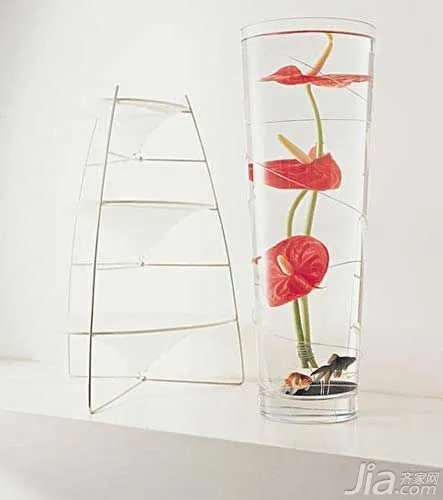 2016年必知的养鱼风水大全(图)