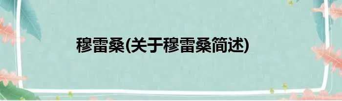 穆雷桑(关于穆雷桑简述)