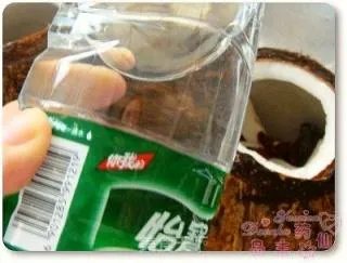 椰香飘进岭南来——原只椰子炖竹丝鸡