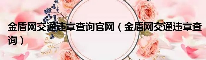 金盾网交通违章查询官网（金盾网交通违章查询）