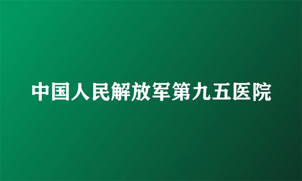 中国人民解放军第九五医院