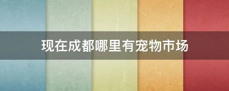 现在成都哪里有宠物市场