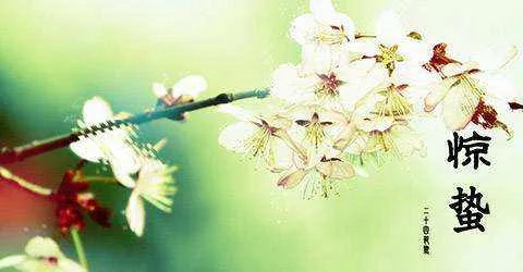 惊蛰的拼音是什么