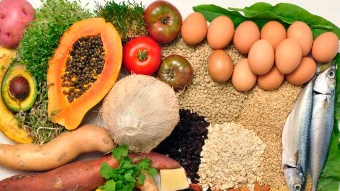 滋阴降火的食物