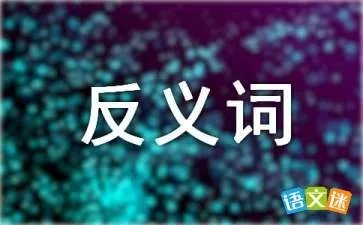 隐隐约约的反义词是什么?