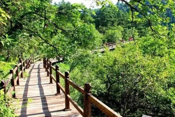 静波是什么意思