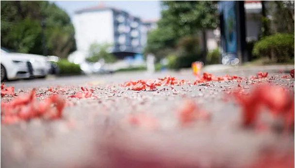 2023年1月17日黄历查询,2023年1月17日是黄道吉日吗？