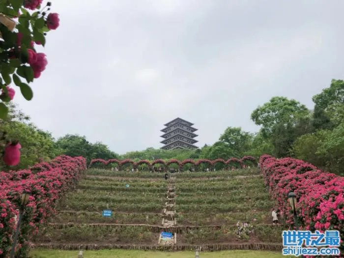 资阳周边一日游最佳景点，资阳旅游十大必去景点 