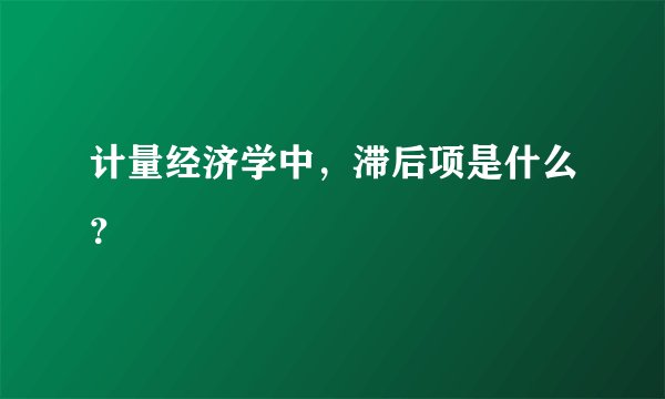 计量经济学中，滞后项是什么？