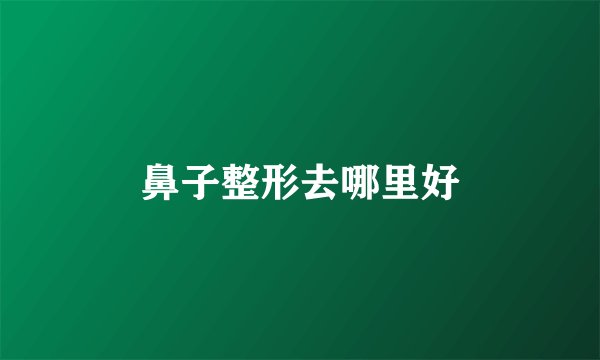 鼻子整形去哪里好