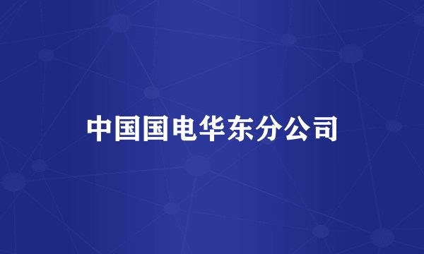 中国国电华东分公司