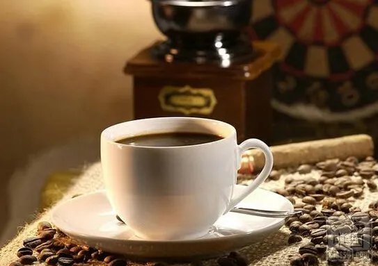 哥斯达黎加咖啡的简介