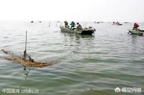 济宁有哪些旅游景点？