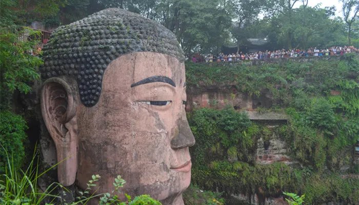 乐山大佛建于哪个朝代 乐山大佛位于哪里