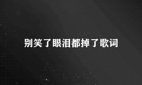 别笑了眼泪都掉了歌词