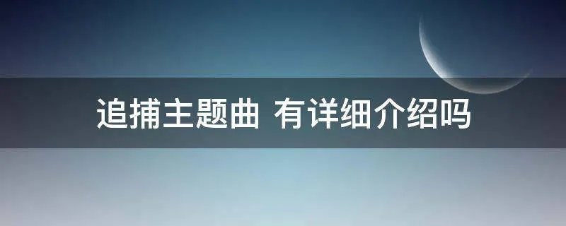 追捕主题曲 有详细介绍吗