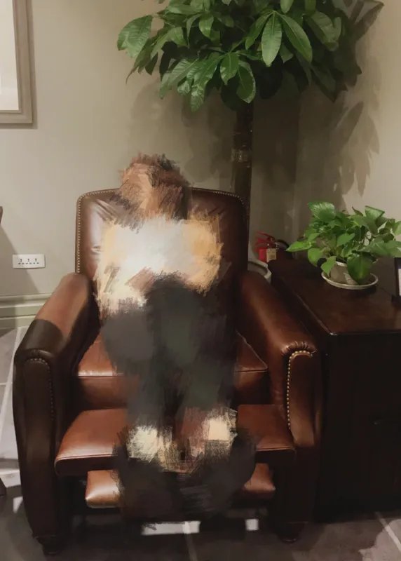 陆毅2017年10月4日的微博中，那个沙发是什么牌子的有人知道吗