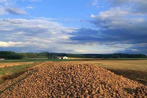 买地皮可以贷款吗