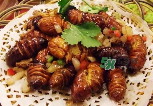 知了龟能吃吗_知了龟有毒吗_知了龟的营养价值