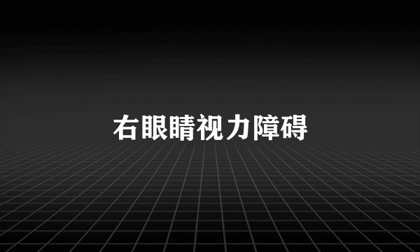 右眼睛视力障碍