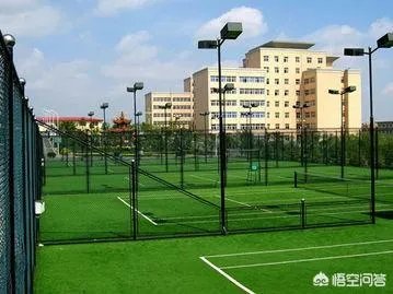 重庆城市管理职业学院怎么样？