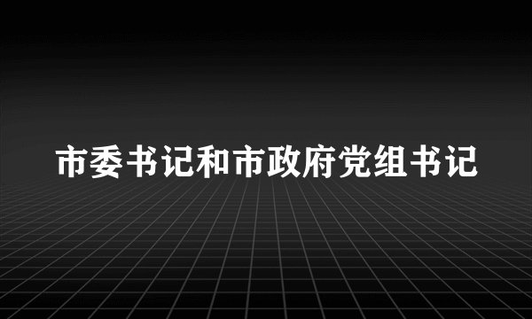 市委书记和市政府党组书记