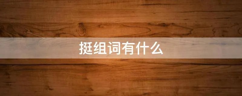 挺组词有什么
