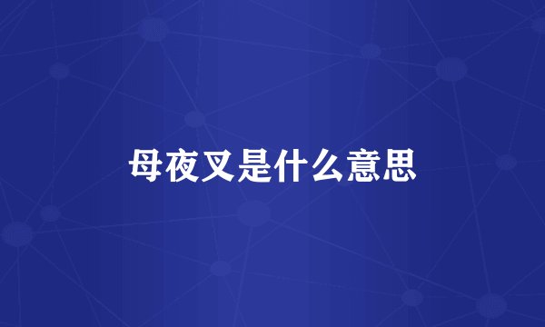 母夜叉是什么意思