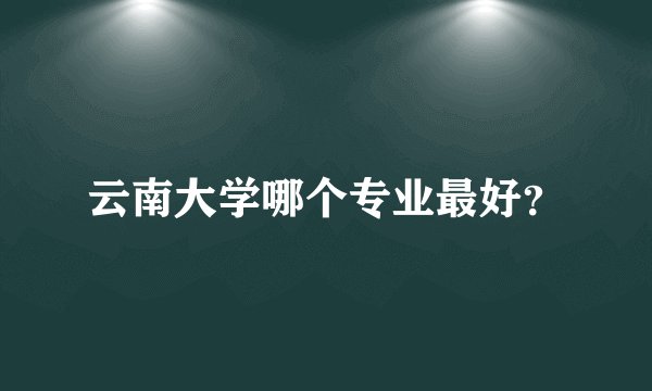 云南大学哪个专业最好？