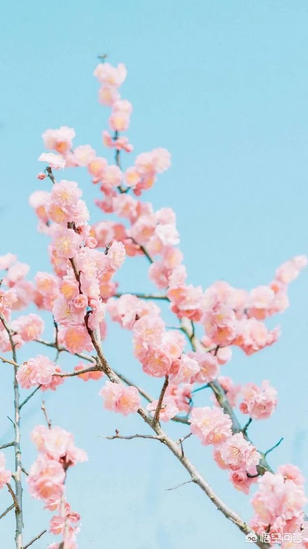 有什么好看的、景色秀丽的壁纸？