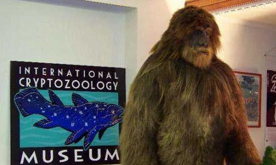 神秘动物学的介绍