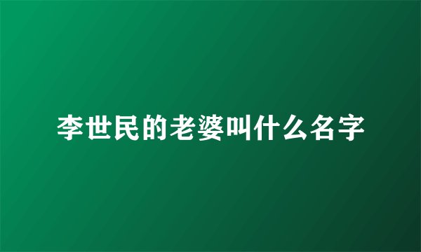 李世民的老婆叫什么名字