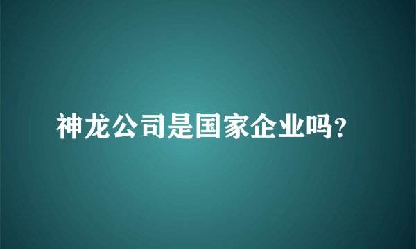 神龙公司是国家企业吗？