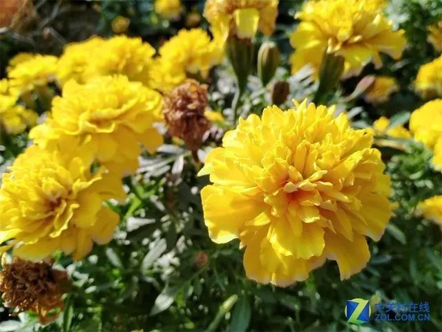 荣耀8X Max评测 看20集延禧攻略不用充电