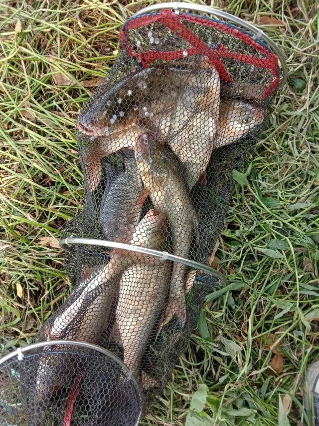 为什么邓刚钓鱼能吸引那么多粉丝，一路疯涨2000多万？